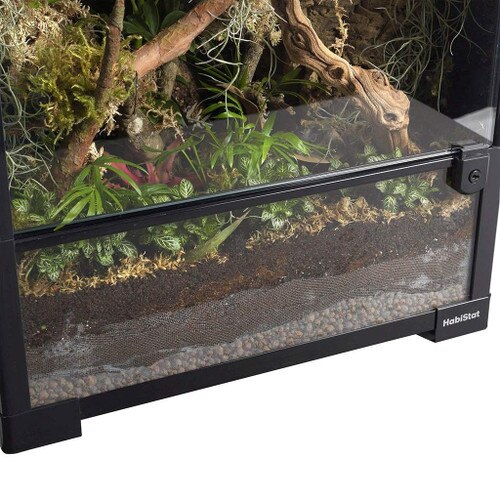 Glass Terrarium Base Set Up